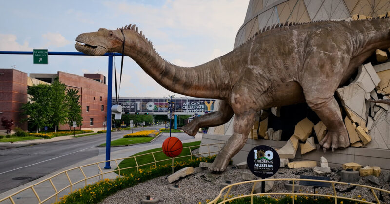 Dinosaur at Children's Museum with a basketball and whistle.